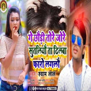 Album Ge Choudi Tore Jore Sutaliyau Ta Dhilawa Pharo Lagalau from Shyam Lal