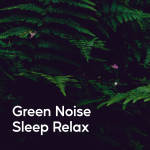 ดาวน์โหลดและฟังเพลง Sleep and Peaceful Flow พร้อมเนื้อเพลงจาก Relaxing Noises