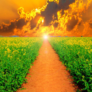 收听The Piano Piece的Classic Therapeutic Healing Music歌词歌曲