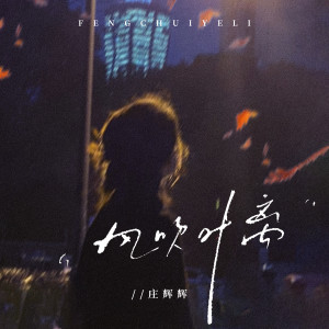 Album 风吹叶离 from ZH辉辉