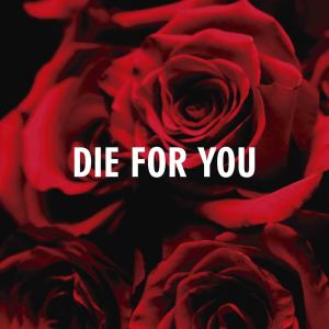 Album Die For You (Remix) oleh Dj Micky M