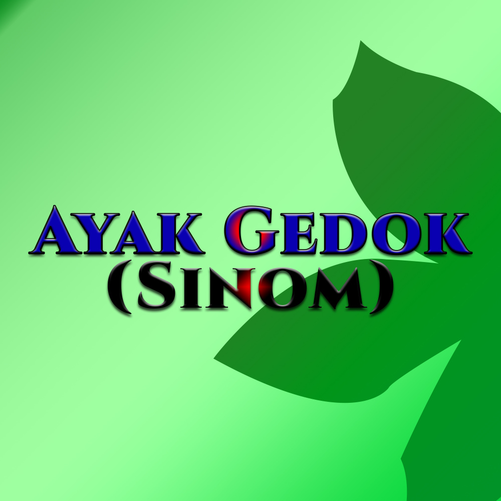 Ayak Gedok