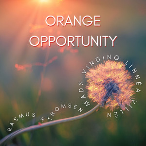 อัลบัม Orange Opportunity ศิลปิน Mads Vinding