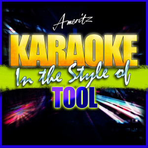 ดาวน์โหลดและฟังเพลง Schism (In the Style of Tool) [Karaoke Version] (Karaoke Version) พร้อมเนื้อเพลงจาก Ameritz - Karaoke