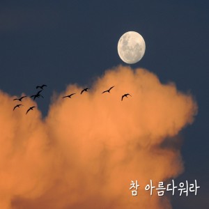 Listen to 길을 돌아보며 song with lyrics from 선명
