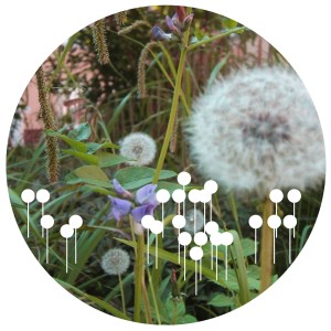 Dengarkan Need Love (Henry L & Ingo Sänger's Disco Dub) lagu dari Urban Absolutes dengan lirik