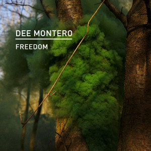 Dee Montero的专辑Freedom