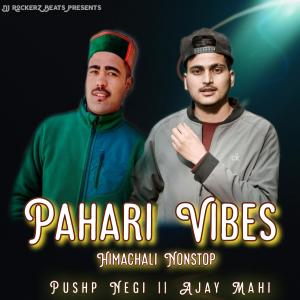 Album Pahari Vibes Himachali Nonstop from Pushp Negi