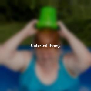 Listen to Untested Honey song with lyrics from Dhel Smii