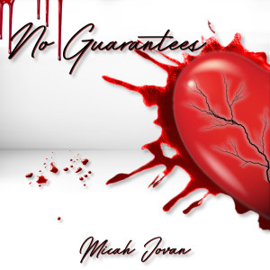 Micah Jovan的专辑No Guarantees