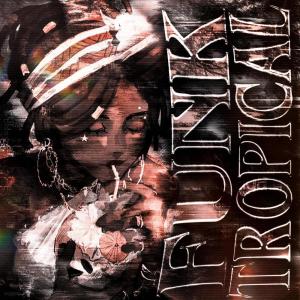 Album FUNK TROPICAL from h6itam