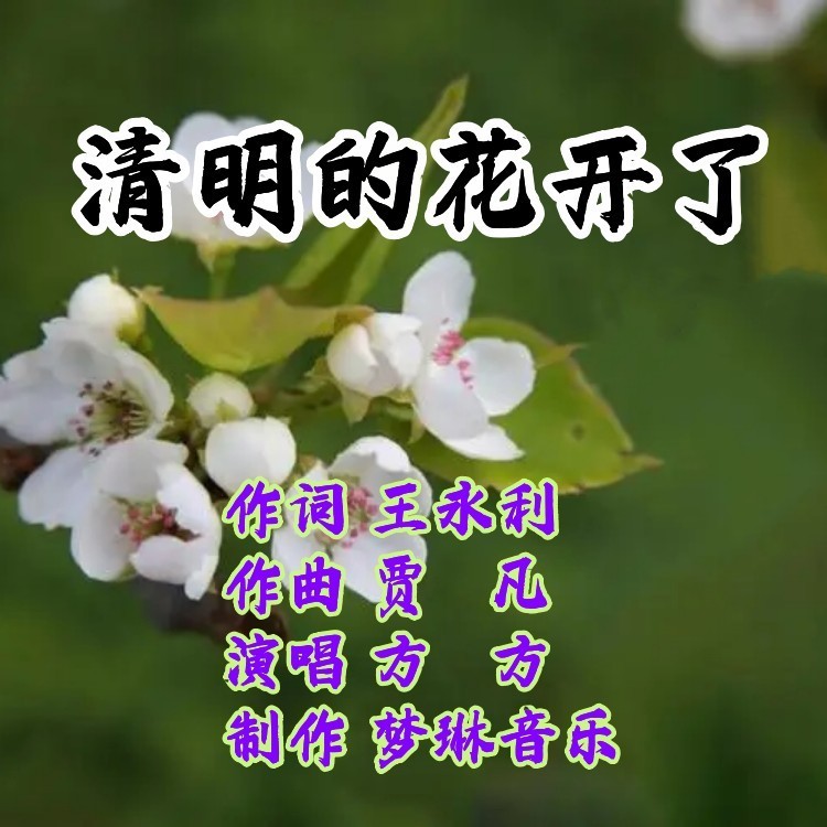 清明的花开了 (伴奏)