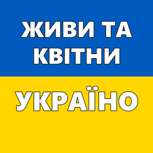 收聽Гурт Експрес的Зелений гай歌詞歌曲