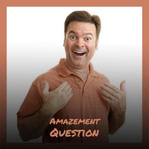 Various Artists的專輯Amazement Question