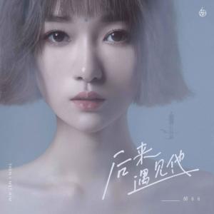 Dengarkan 后来遇见他 (DJ阿卓版伴奏) lagu dari 胡66 dengan lirik