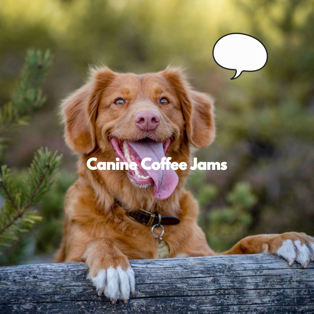 Easy Ambience for Playful Pups