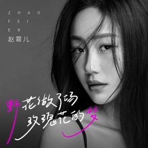 Album 野花做了场玫瑰花的梦 from 赵霏儿