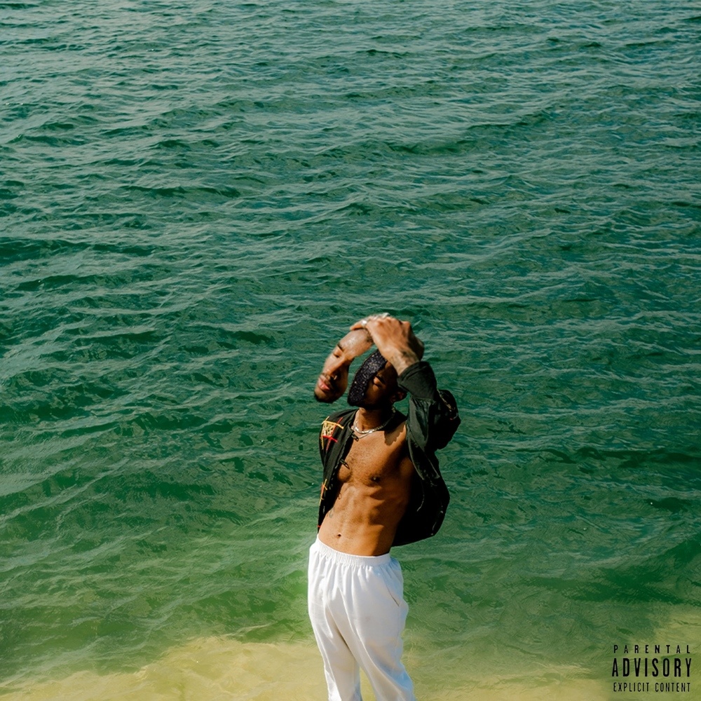 FLOSS (Explicit)