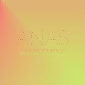 Various的专辑Anas Something