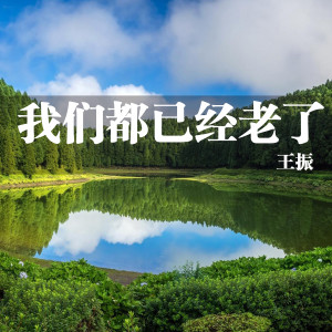 Dengarkan lagu 我们都已经老了 nyanyian 王振 dengan lirik