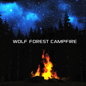 The Nature Sound FX的專輯Wolf Forest Campfire