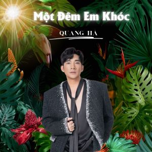 Listen to Để Cho Em Khóc (Beat) song with lyrics from Quang Ha