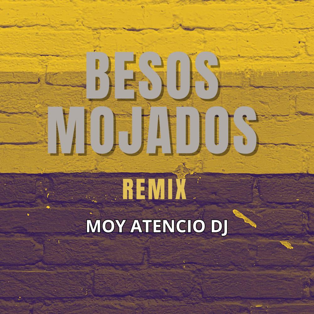Besos Mojados (remix)