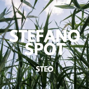 Stefano Spot的专辑Steo