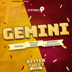 Dengarkan lagu Gemini (Afrobeat 2020) nyanyian Precision Productions dengan lirik