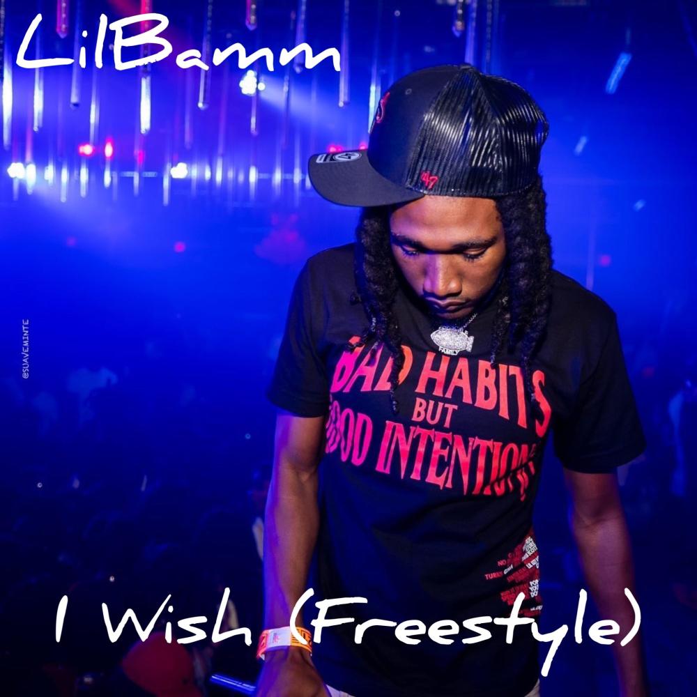 I Wish (Freestyle) (Explicit)