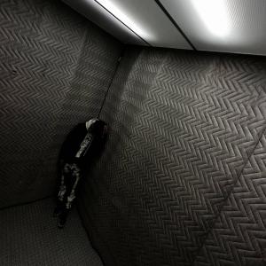 Nevets的專輯Changed! (Explicit)