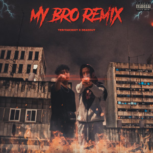 Listen to MY BRO (Remix|Explicit) song with lyrics from Teriyakishit