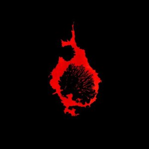 收聽C. Diab的Butterflies歌詞歌曲
