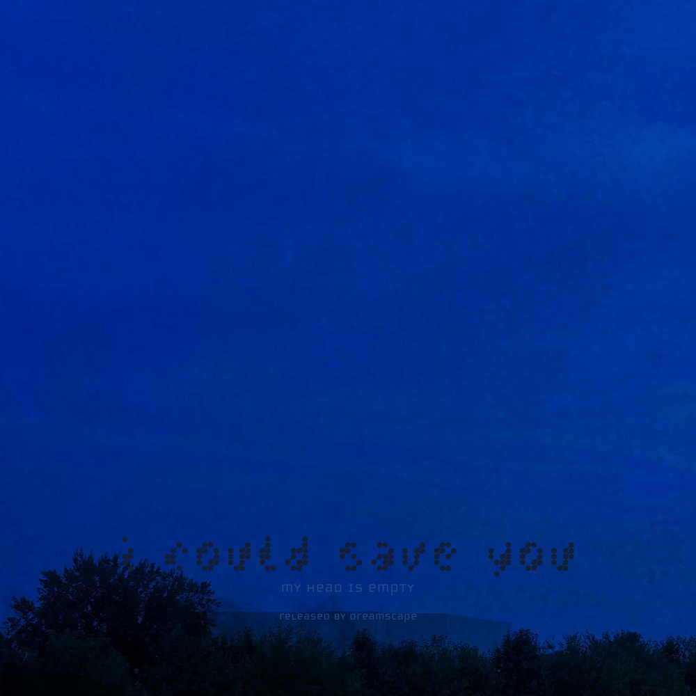 i could save you