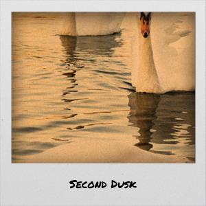 Album Second Dusk oleh Various