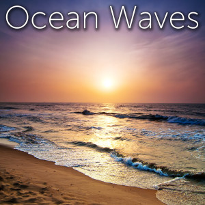 Album Ocean Waves with Wind at the Beach from Tmsoft’s White Noise Sleep Sounds