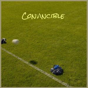 Album Convincible from 