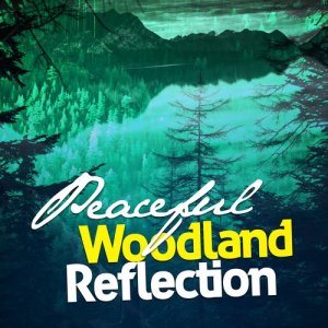 Peaceful Woodland Reflection