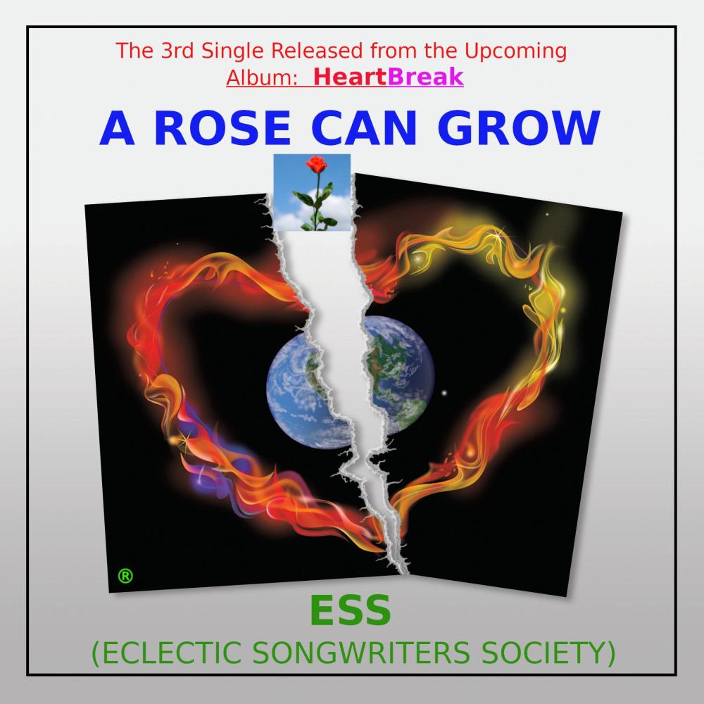 A Rose Can Grow