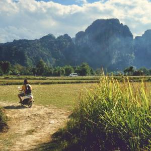 ดาวน์โหลดและฟังเพลง Naturewave พร้อมเนื้อเพลงจาก Doansai