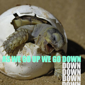 Album As We Go up, We Go Down (Explicit) from 