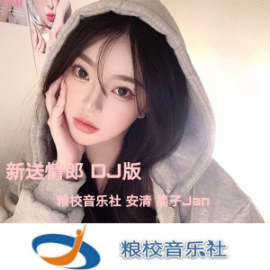 Listen to 新送情郎（DJ版） song with lyrics from 粮校音乐社