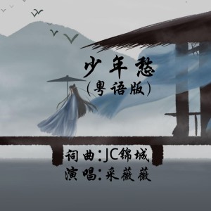 Listen to 少年愁(粤语版) (完整版) song with lyrics from 锦城