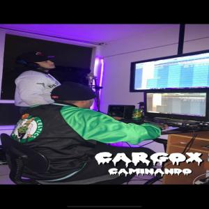 收聽CarGox的CAMINANDO歌詞歌曲