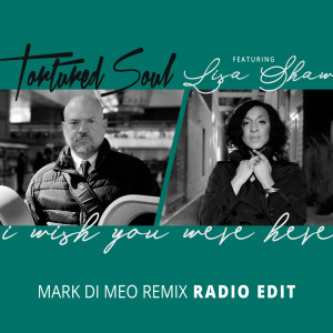 Album I Wish You Were Here (Mark Di Meo Mix Radio Edit) oleh Tortured Soul