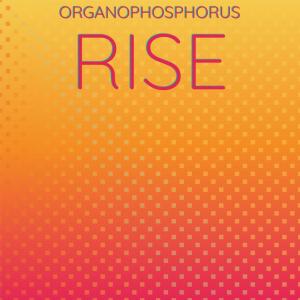 Organophosphorus Rise dari Various