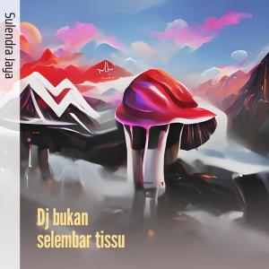 Dengarkan Dj Bukan Selembar Tissu lagu dari sulendra jaya dengan lirik
