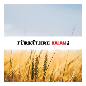 Karahisar Kalesi