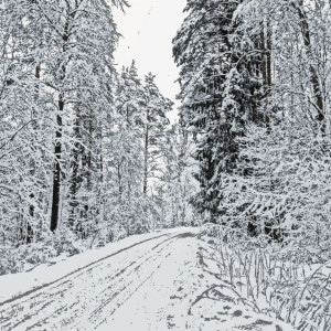 收聽LXKVXN的SWEETIE PHONK III歌詞歌曲