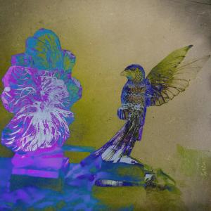 Listen to Coal Canary song with lyrics from BB Wisely